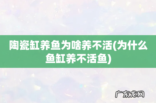 为什么鱼缸养不活鱼 陶瓷缸养鱼为啥养不活