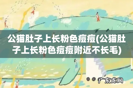 公猫肚子上长粉色痘痘附近不长毛 公猫肚子上长粉色痘痘