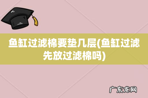 鱼缸过滤先放过滤棉吗 鱼缸过滤棉要垫几层