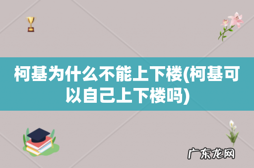 柯基可以自己上下楼吗 柯基为什么不能上下楼