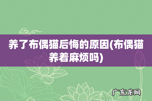 布偶猫养着麻烦吗 养了布偶猫后悔的原因
