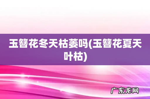 玉簪花夏天叶枯 玉簪花冬天枯萎吗
