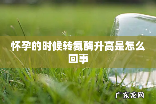 怀孕的时候转氨酶升高是怎么回事