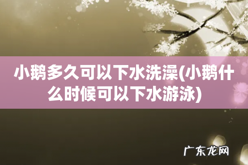 小鹅什么时候可以下水游泳 小鹅多久可以下水洗澡