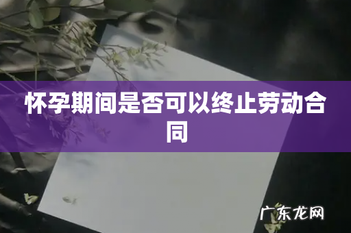 怀孕期间是否可以终止劳动合同