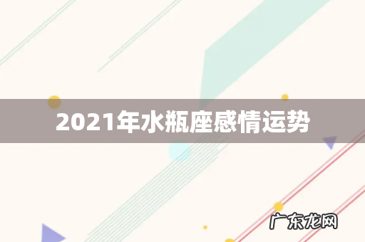 2021年水瓶座感情运势
