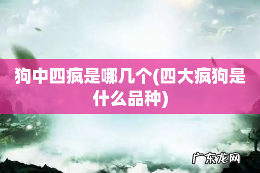 四大疯狗是什么品种 狗中四疯是哪几个