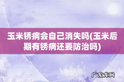 玉米后期有锈病还要防治吗 玉米锈病会自己消失吗