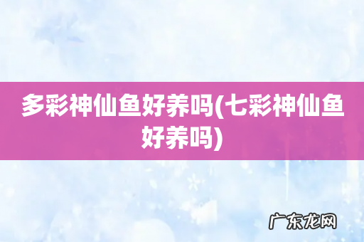 七彩神仙鱼好养吗 多彩神仙鱼好养吗