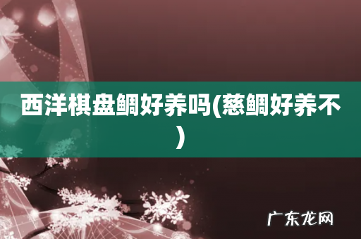 慈鲷好养不 西洋棋盘鲷好养吗