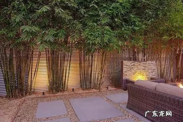 园林树木开花类型有 适合庭院种植的树木风水