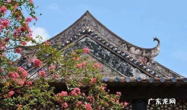 园林树木开花类型有 适合庭院种植的树木风水