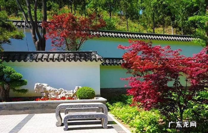 园林树木开花类型有 适合庭院种植的树木风水