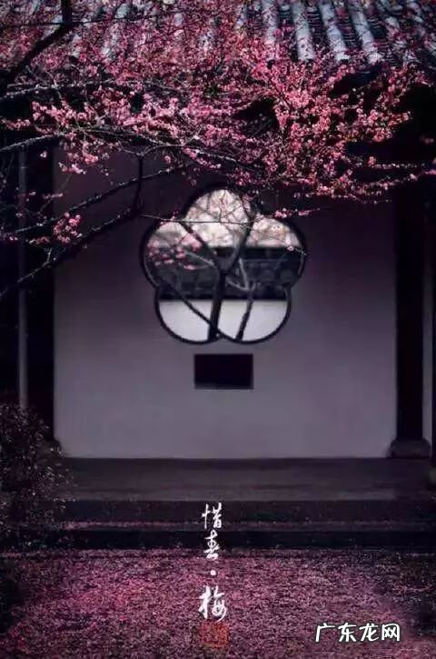 园林树木开花类型有 适合庭院种植的树木风水