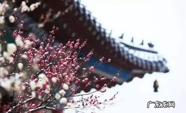 园林树木开花类型有 适合庭院种植的树木风水