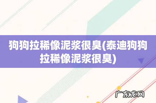 泰迪狗狗拉稀像泥浆很臭 狗狗拉稀像泥浆很臭