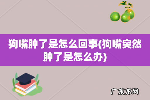 狗嘴突然肿了是怎么办 狗嘴肿了是怎么回事