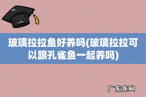 玻璃拉拉可以跟孔雀鱼一起养吗 玻璃拉拉鱼好养吗