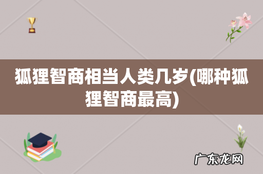 哪种狐狸智商最高 狐狸智商相当人类几岁
