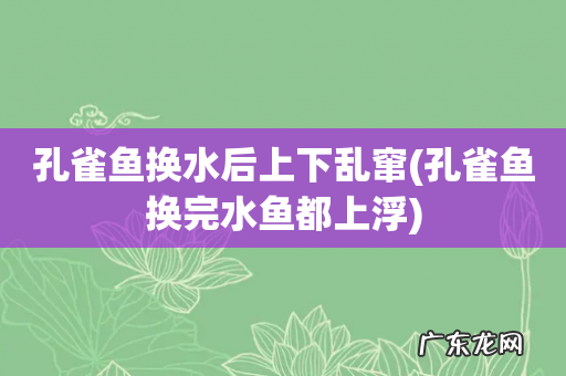 孔雀鱼换完水鱼都上浮 孔雀鱼换水后上下乱窜