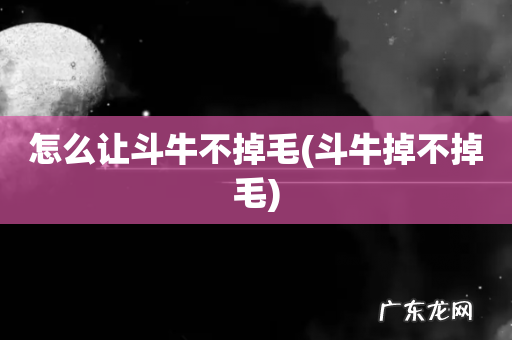 斗牛掉不掉毛 怎么让斗牛不掉毛