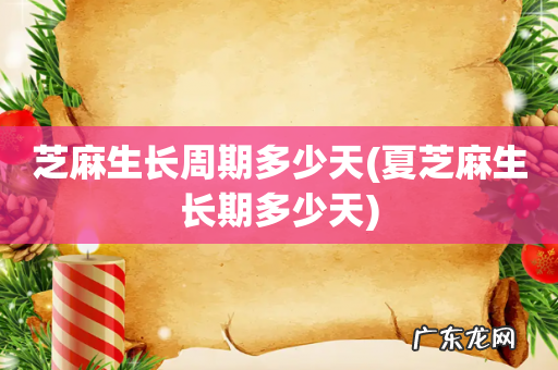 夏芝麻生长期多少天 芝麻生长周期多少天