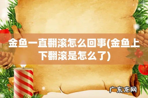 金鱼上下翻滚是怎么了 金鱼一直翻滚怎么回事