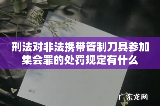 刑法对非法携带管制刀具参加集会罪的处罚规定有什么