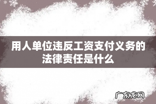 用人单位违反工资支付义务的法律责任是什么