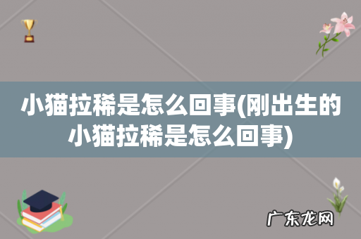 刚出生的小猫拉稀是怎么回事 小猫拉稀是怎么回事