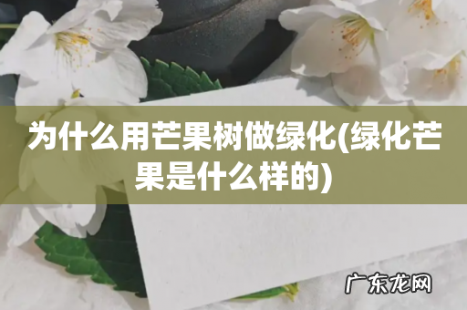 绿化芒果是什么样的 为什么用芒果树做绿化