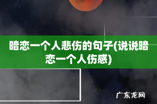 说说暗恋一个人伤感 暗恋一个人悲伤的句子