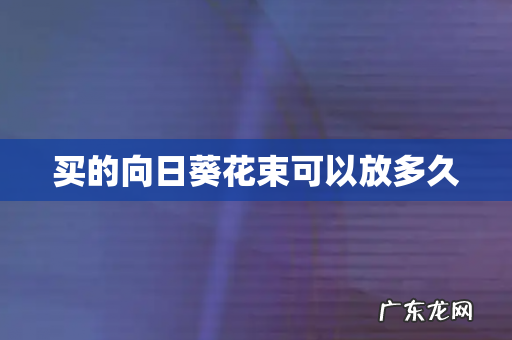 买的向日葵花束可以放多久