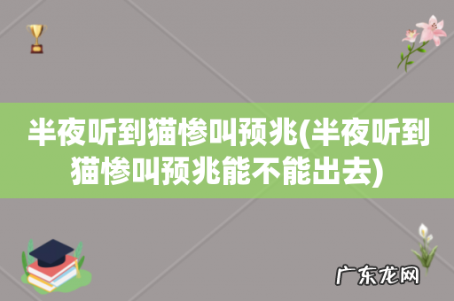 半夜听到猫惨叫预兆能不能出去 半夜听到猫惨叫预兆