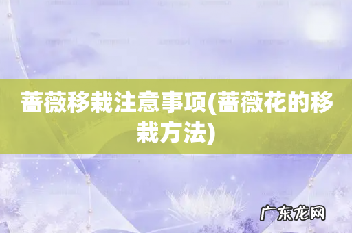 蔷薇花的移栽方法 蔷薇移栽注意事项