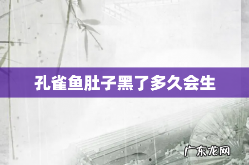 孔雀鱼肚子黑了多久会生