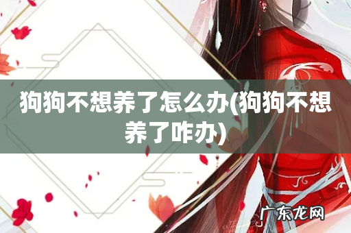 狗狗不想养了咋办 狗狗不想养了怎么办