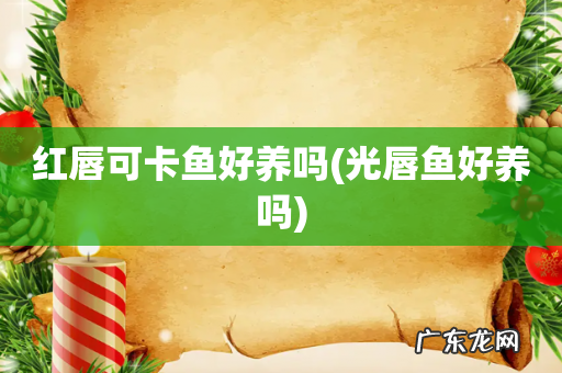 光唇鱼好养吗 红唇可卡鱼好养吗