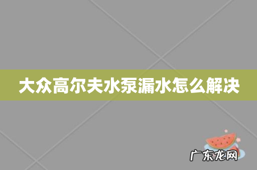 大众高尔夫水泵漏水怎么解决