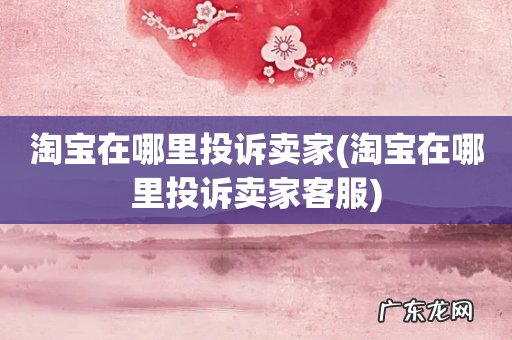 淘宝在哪里投诉卖家客服 淘宝在哪里投诉卖家