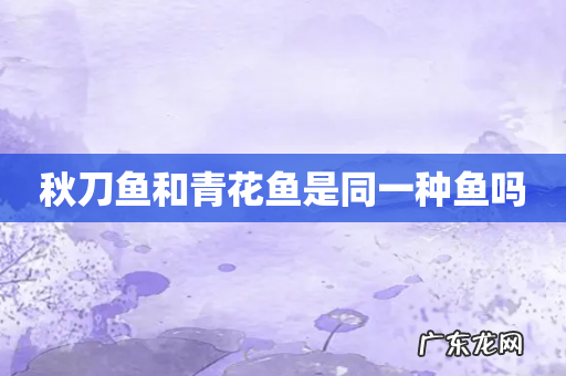 秋刀鱼和青花鱼是同一种鱼吗