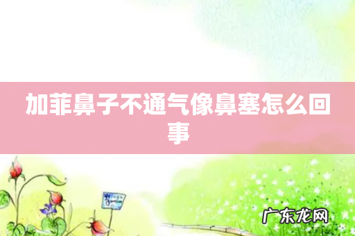 加菲鼻子不通气像鼻塞怎么回事