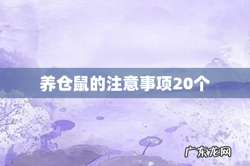 养仓鼠的注意事项20个