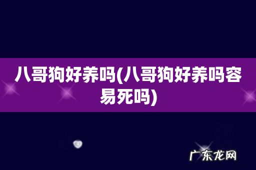 八哥狗好养吗容易死吗 八哥狗好养吗