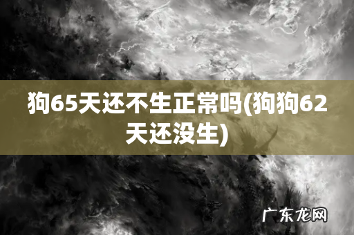 狗狗62天还没生 狗65天还不生正常吗