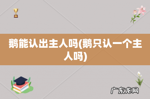 鹅只认一个主人吗 鹅能认出主人吗