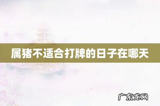 属猪不适合打牌的日子在哪天