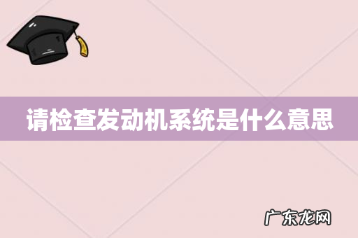 请检查发动机系统是什么意思