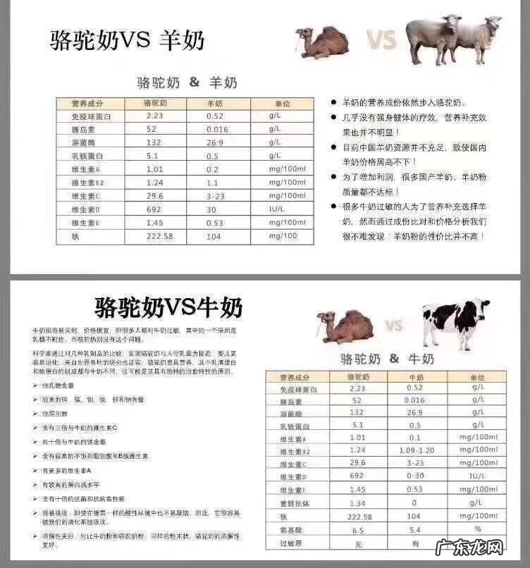骆驼奶粉的功效和作用