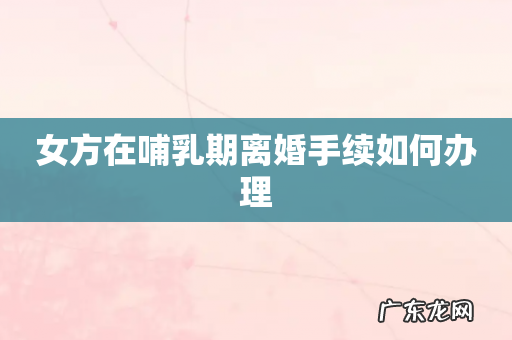 女方在哺乳期离婚手续如何办理